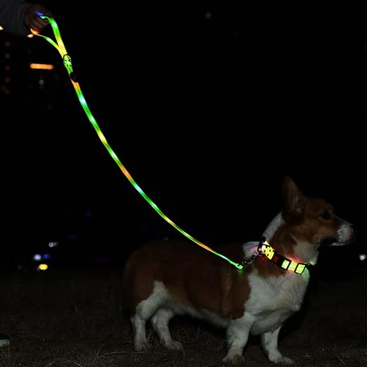 COLLAR Y CORREA LED